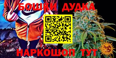молекула духа Вязьма