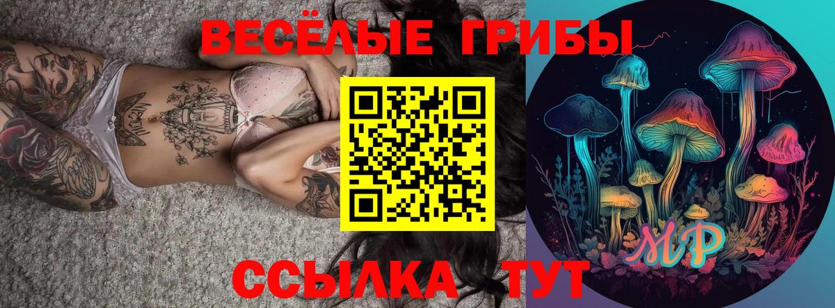 Киров  Псилоцибиновые грибы Psilocybe  Вход с VPN  Псилоцибиновые грибы Psilocybine cubensis 